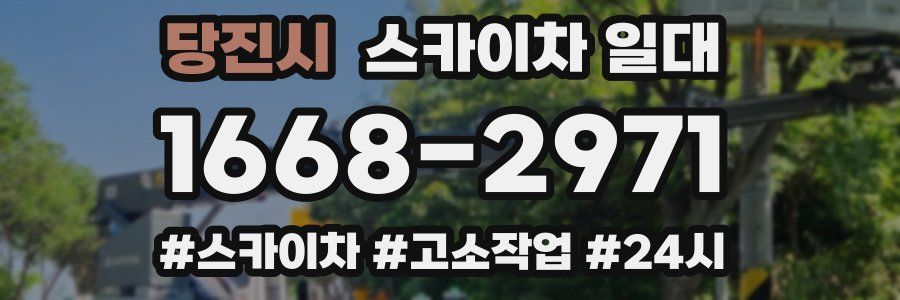 당진시 스카이차 일대