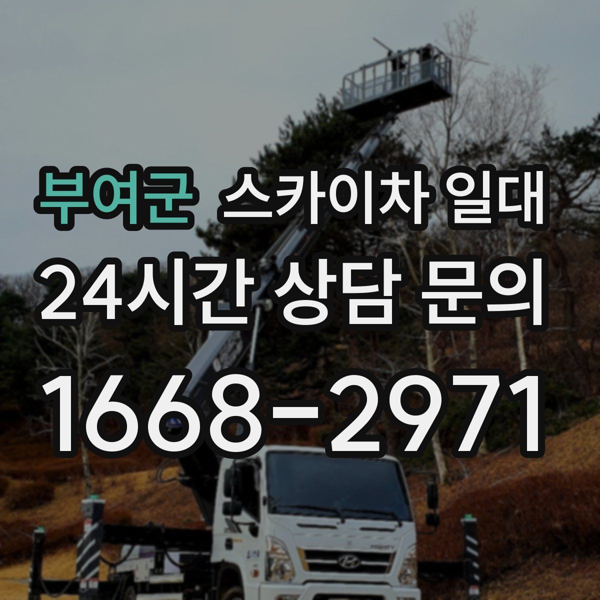 부여군 스카이차 일대