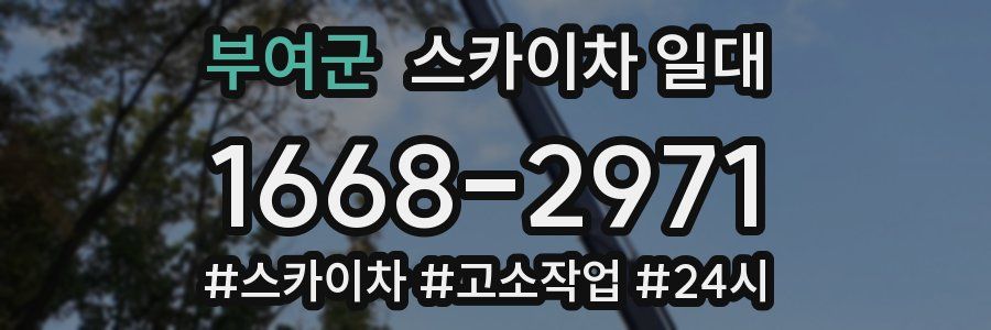 부여군 스카이차 일대