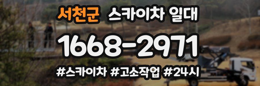 서천군 스카이차 일대