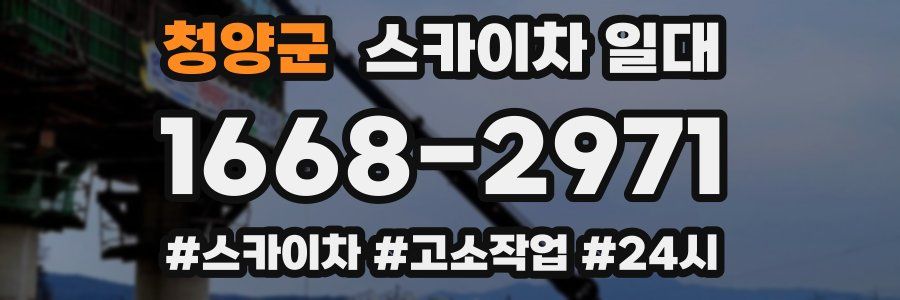 청양군 스카이차 일대