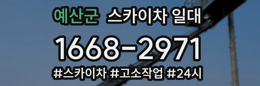예산군 스카이차 일대