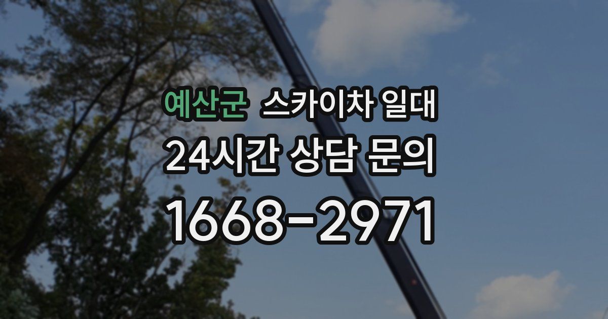 예산군 스카이차 일대
