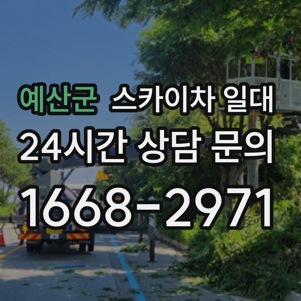 예산군 스카이차 일대