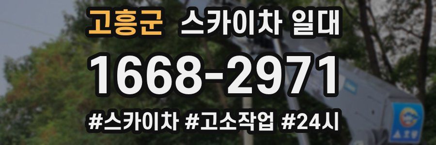 고흥군 스카이차 일대