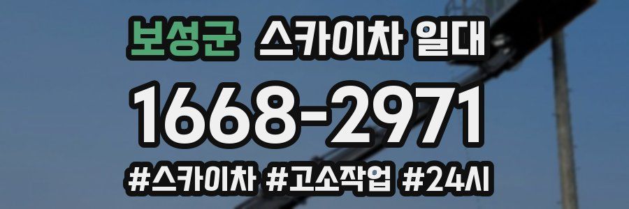 보성군 스카이차 일대