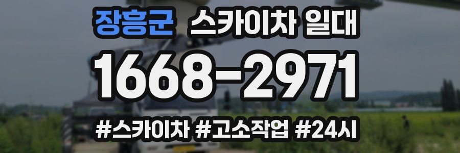 장흥군 스카이차 일대
