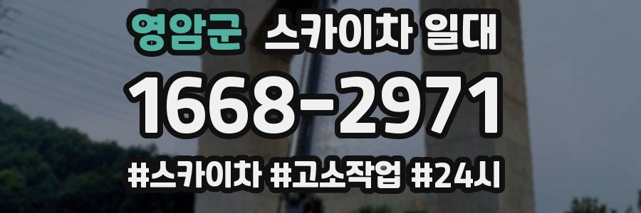 영암군 스카이차 일대