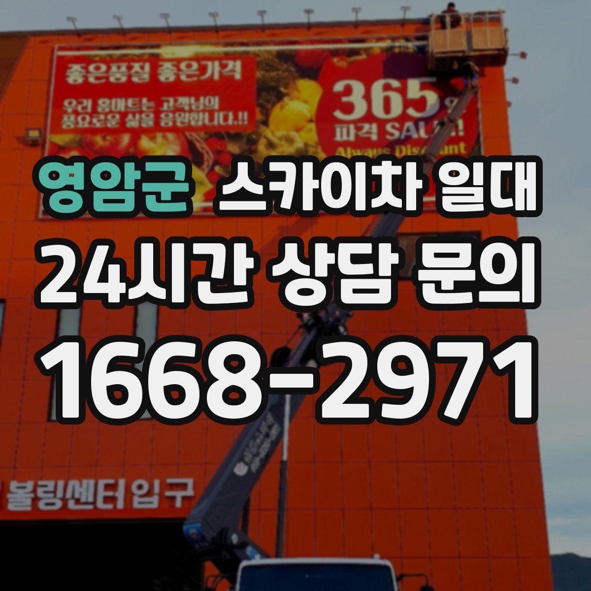 영암군 스카이차 일대
