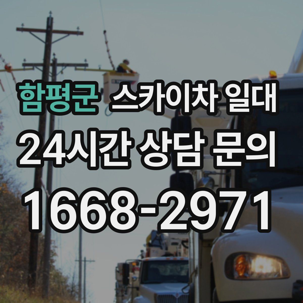 함평군 스카이차 일대