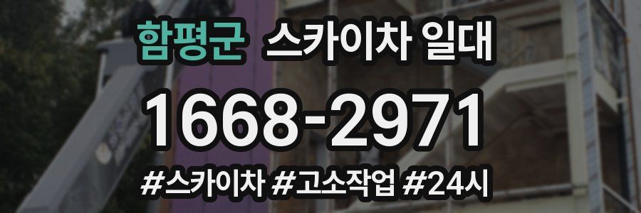 함평군 스카이차 일대