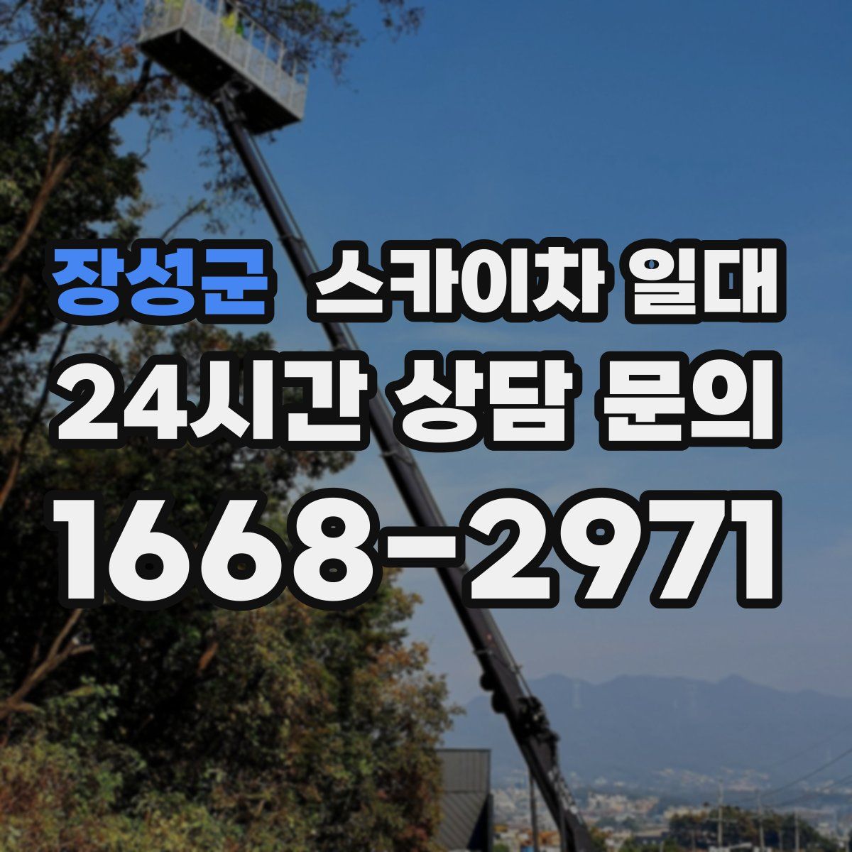 장성군 스카이차 일대