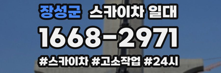 장성군 스카이차 일대
