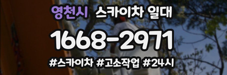 영천시 스카이차 일대
