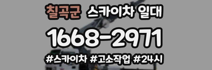 칠곡군 스카이차 일대