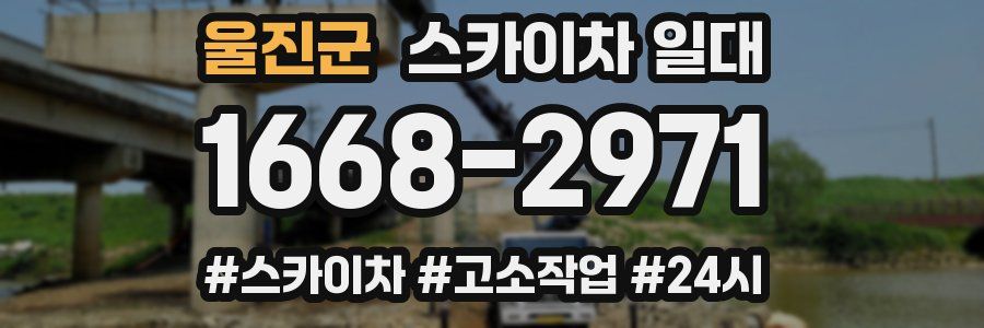 울진군 스카이차 일대