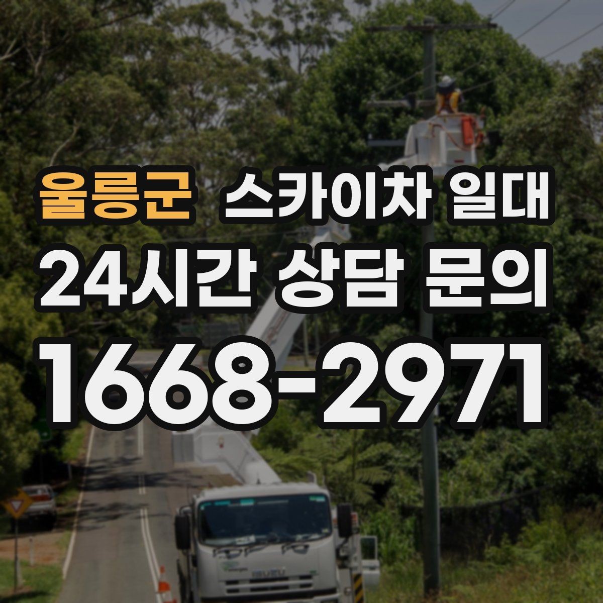 울릉군 스카이차 일대 장비 운행이 수월한 환경