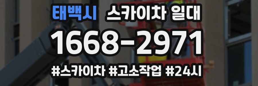 태백시 스카이차 일대
