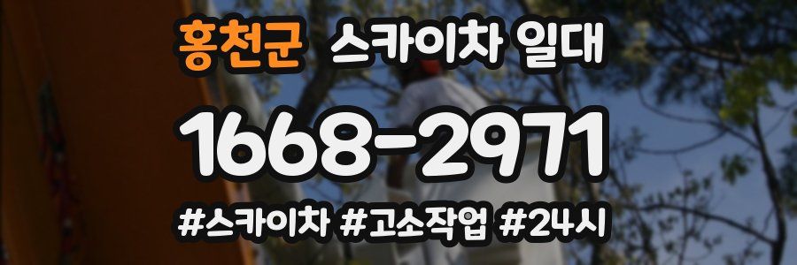 홍천군 스카이차 일대