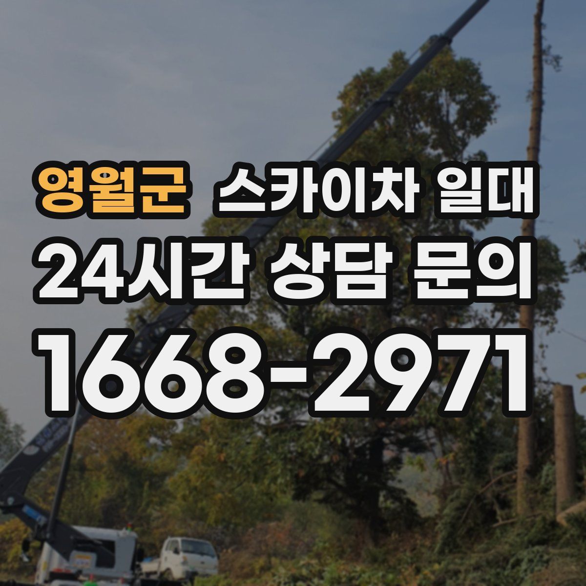 영월군 스카이차 일대