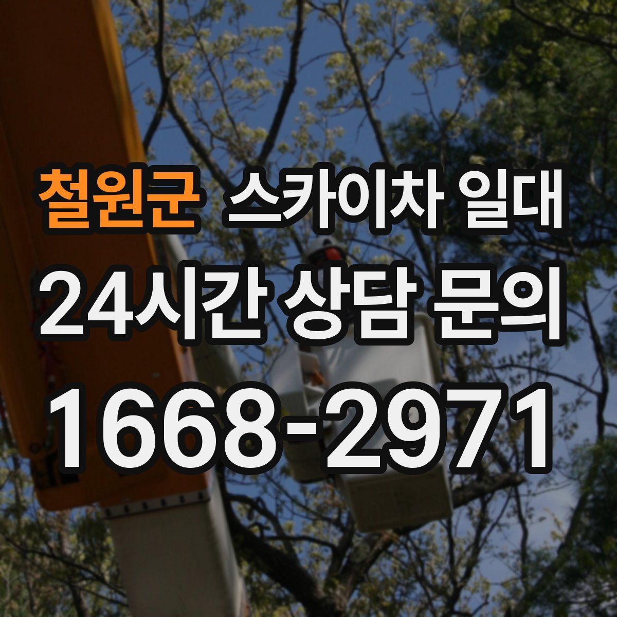 철원군 스카이차 일대