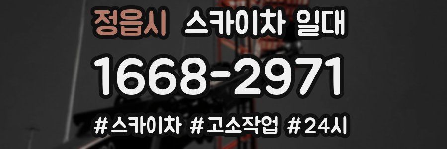 정읍시 스카이차 일대