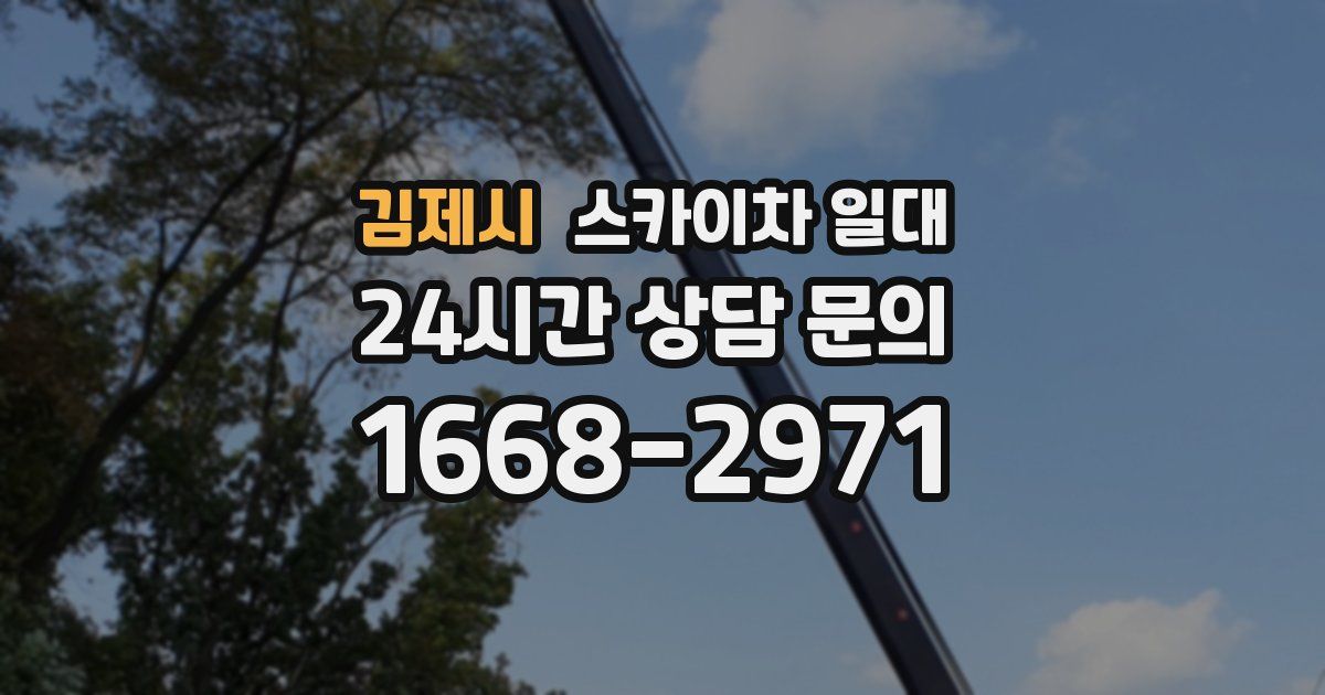 김제시 스카이차 일대