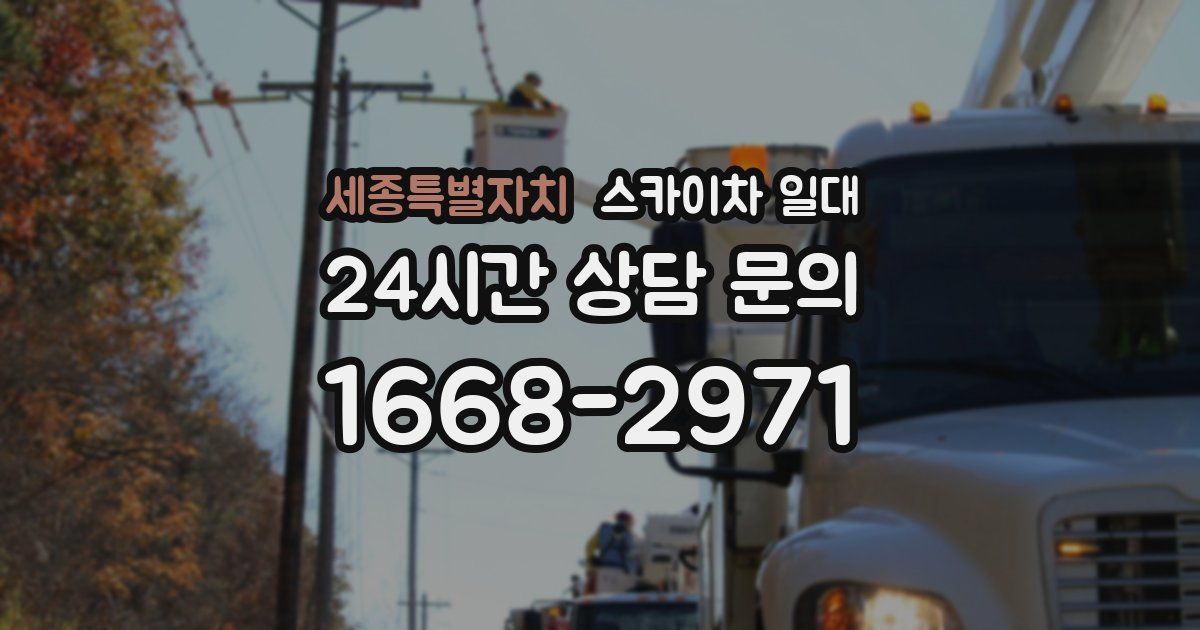 세종특별자치 스카이차 일대
