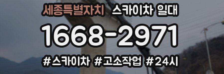 세종특별자치 스카이차 일대