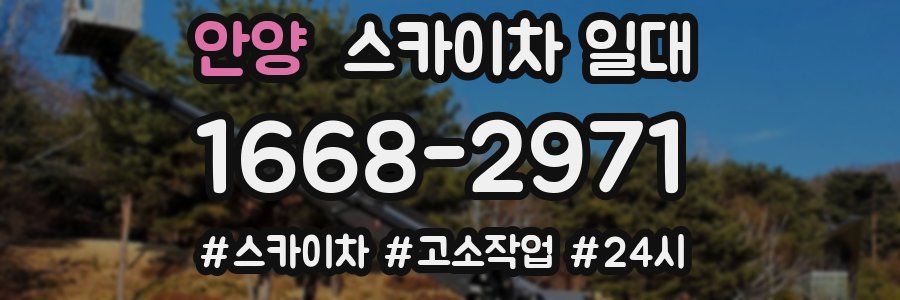 안양 스카이차 일대