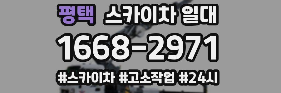 평택 스카이차 일대