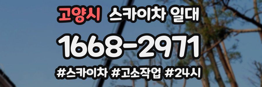 고양시 스카이차 일대