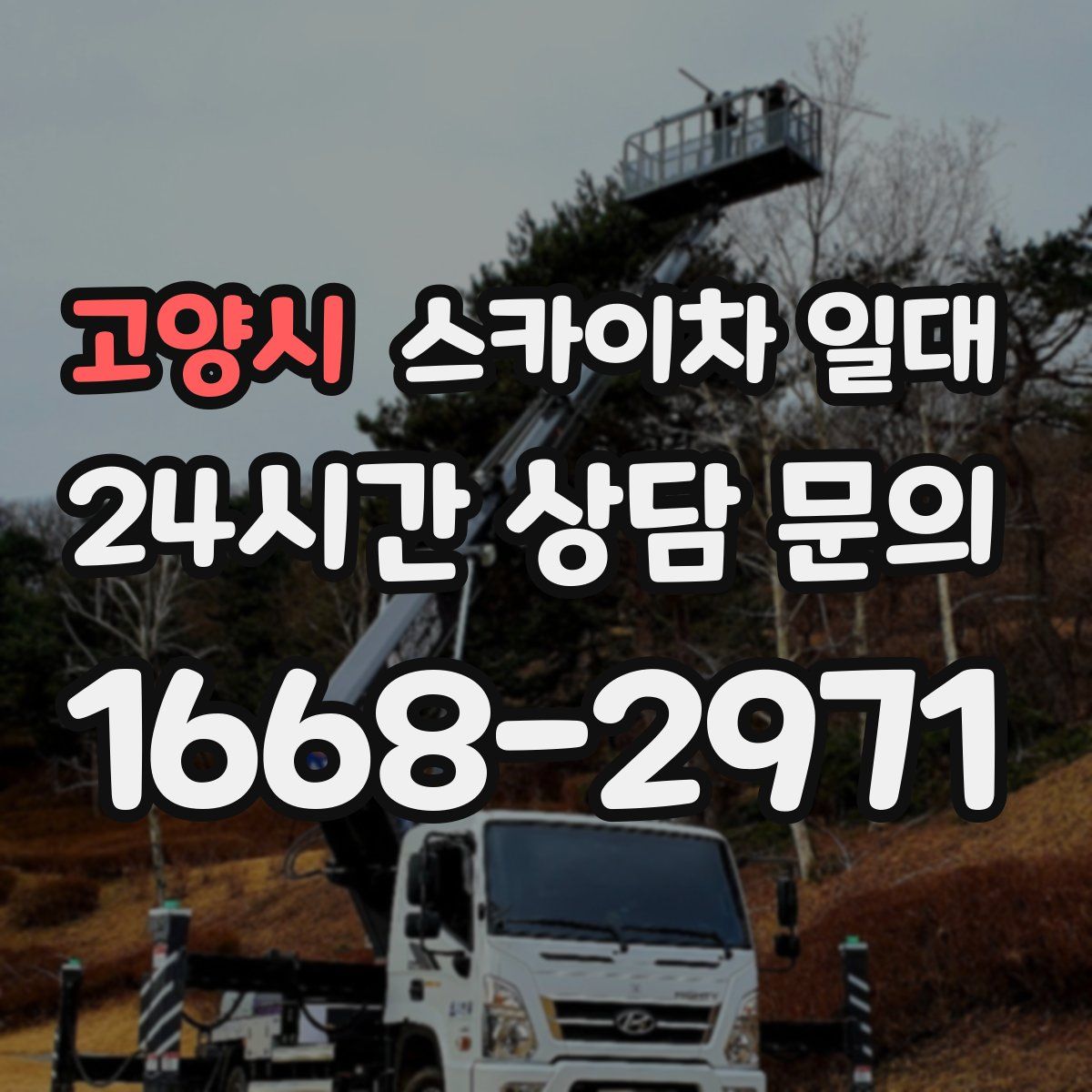 고양시 스카이차 일대