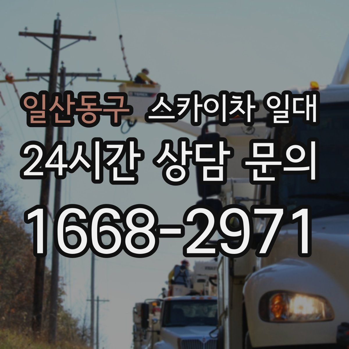일산동구 스카이차 일대
