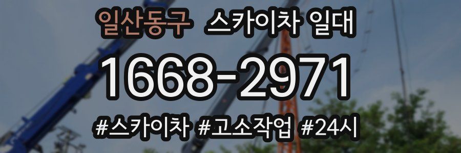 일산동구 스카이차 일대