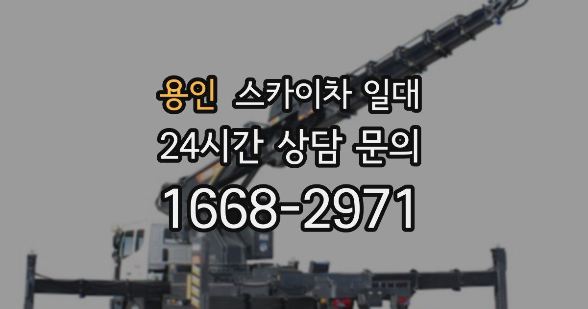 용인 스카이차 일대