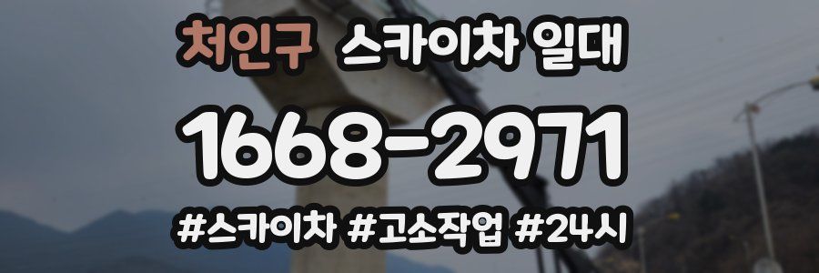 처인구 스카이차 일대