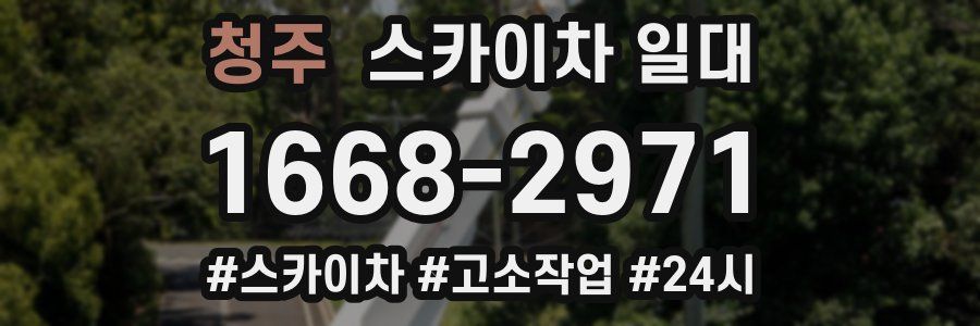청주 스카이차 일대