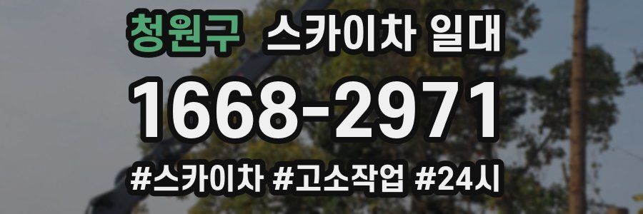 청원구 스카이차 일대