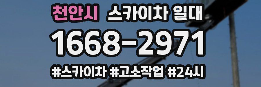 천안시 스카이차 일대