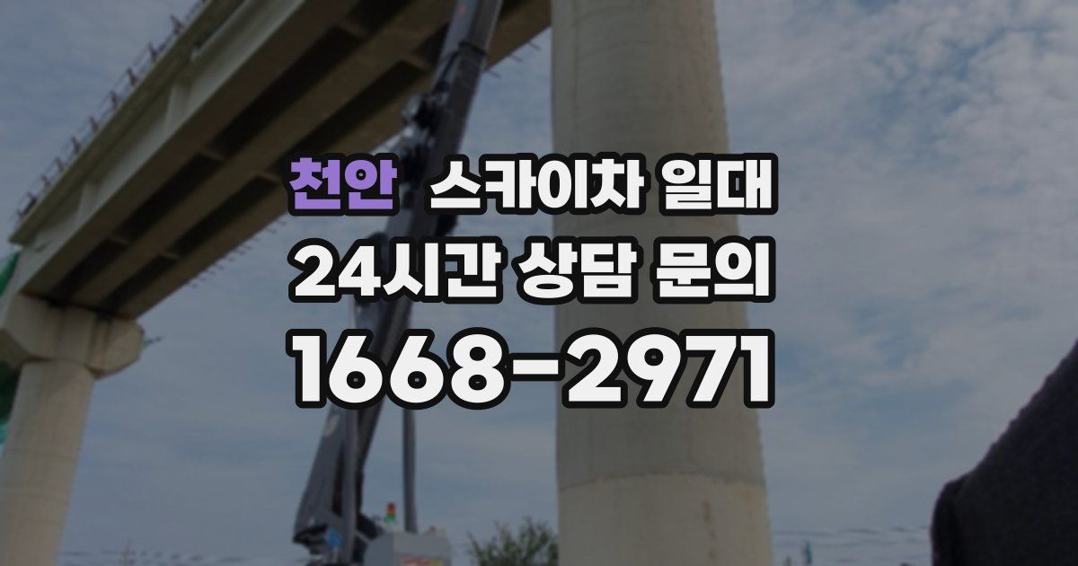 천안 스카이차 일대
