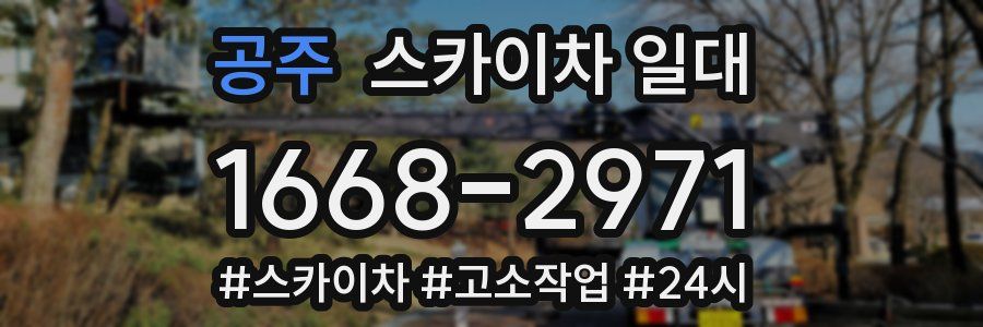 공주 스카이차 일대