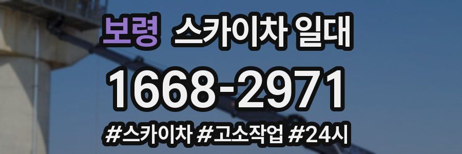 보령 스카이차 일대