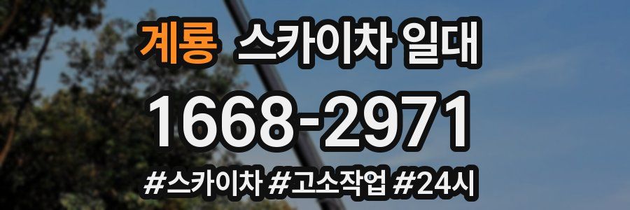 계룡 스카이차 일대