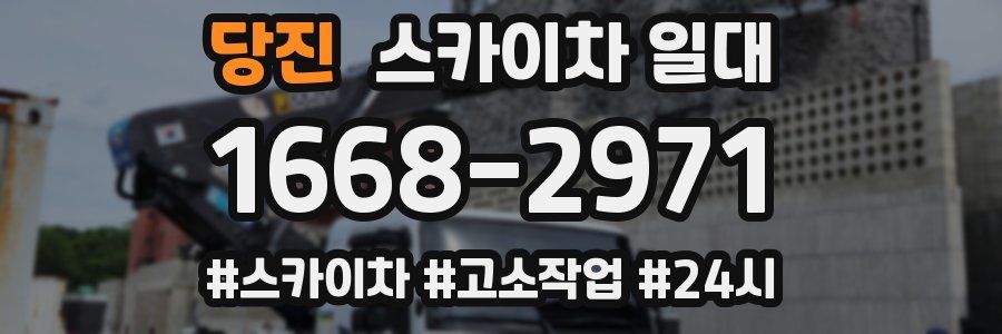 당진 스카이차 일대