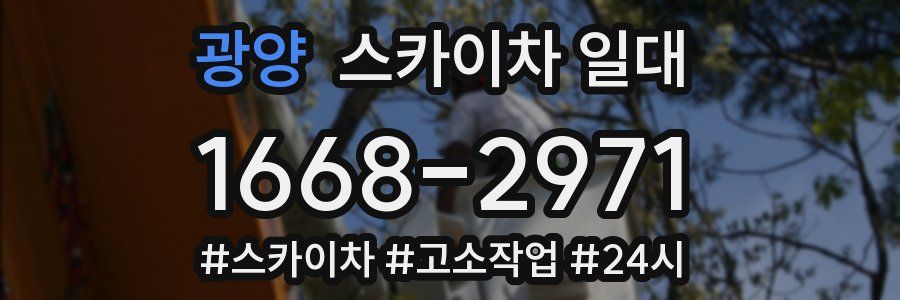 광양 스카이차 일대