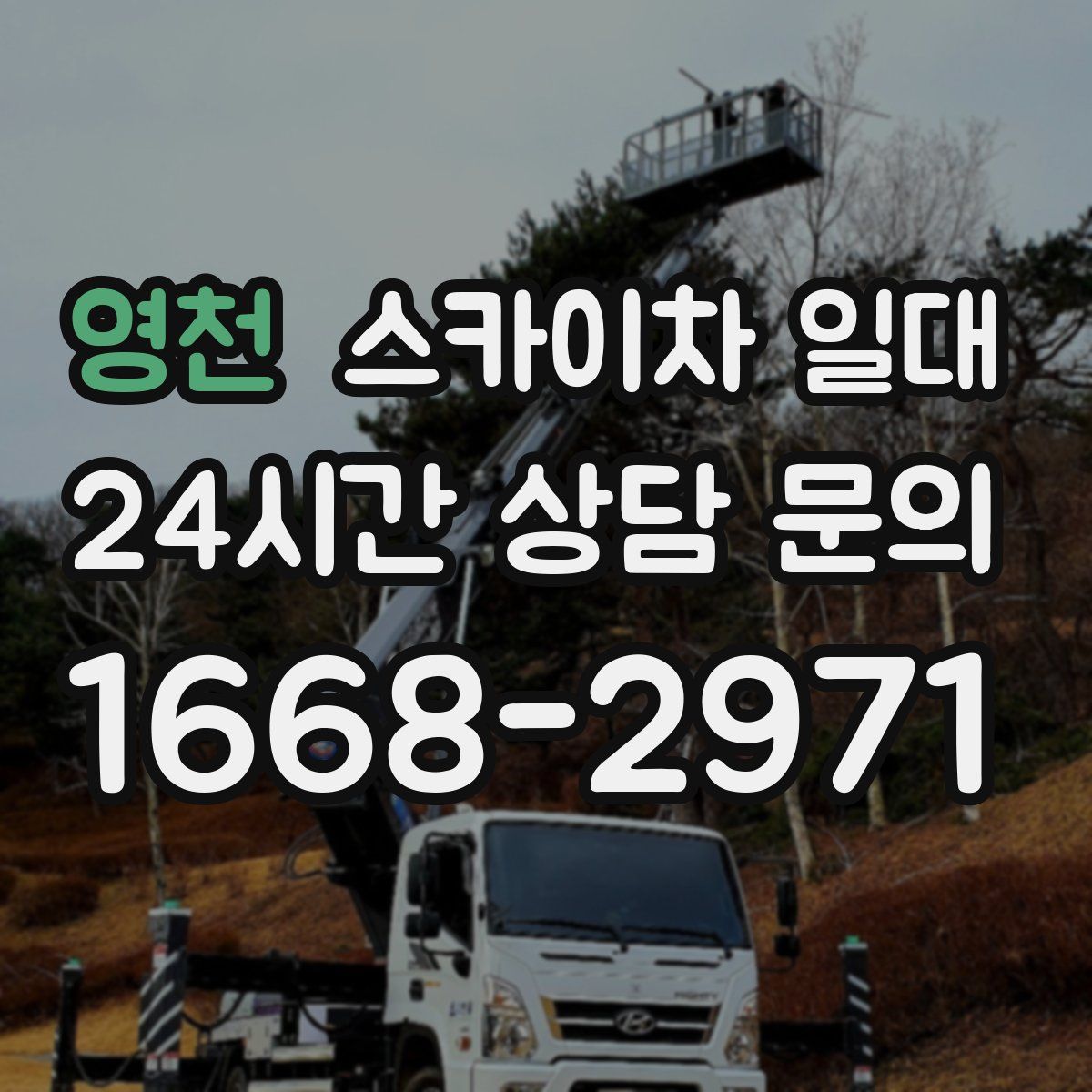 영천 스카이차 일대