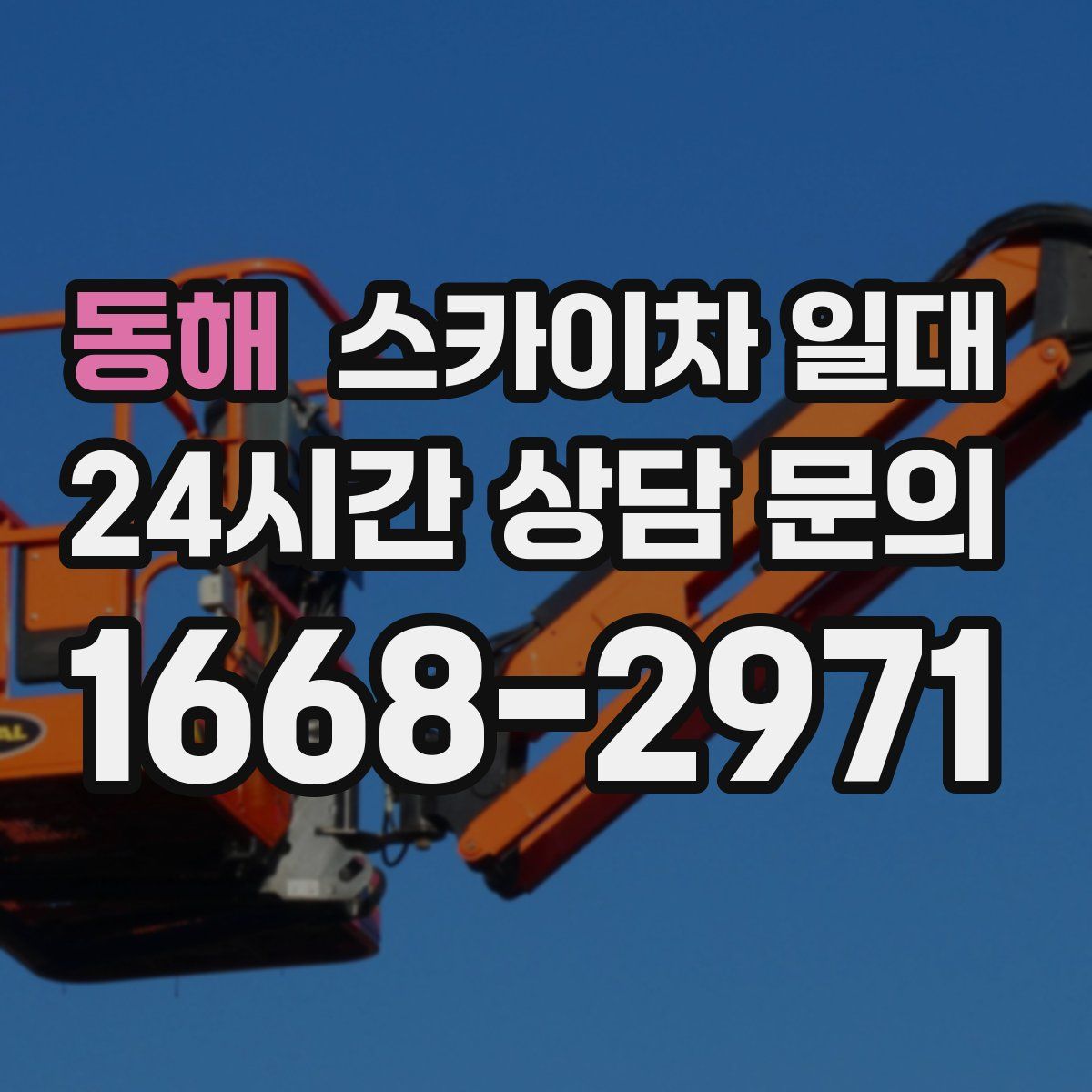 동해 스카이차 일대