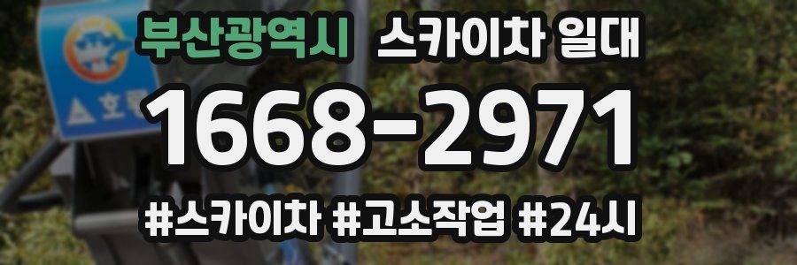 부산광역시 스카이차 일대