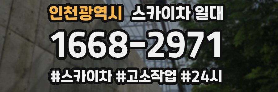 인천광역시 스카이차 일대